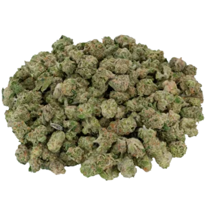 Yodie - Indoor Micros