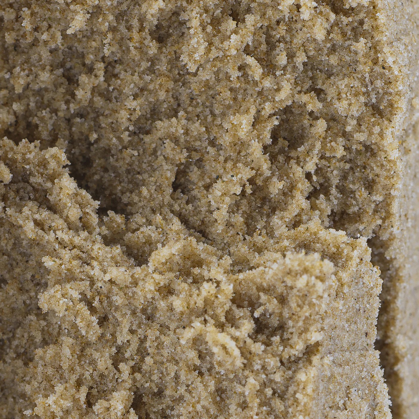 THCA Infused Hash Dry Sift