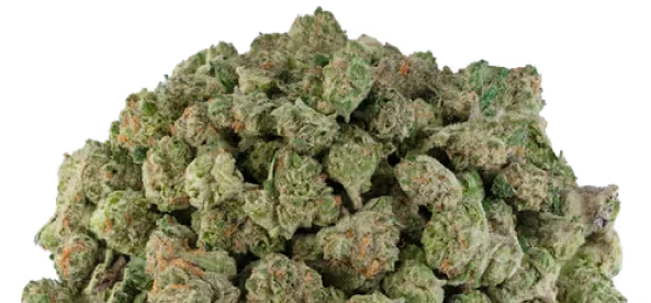 THCA Flower Pounds Bulk